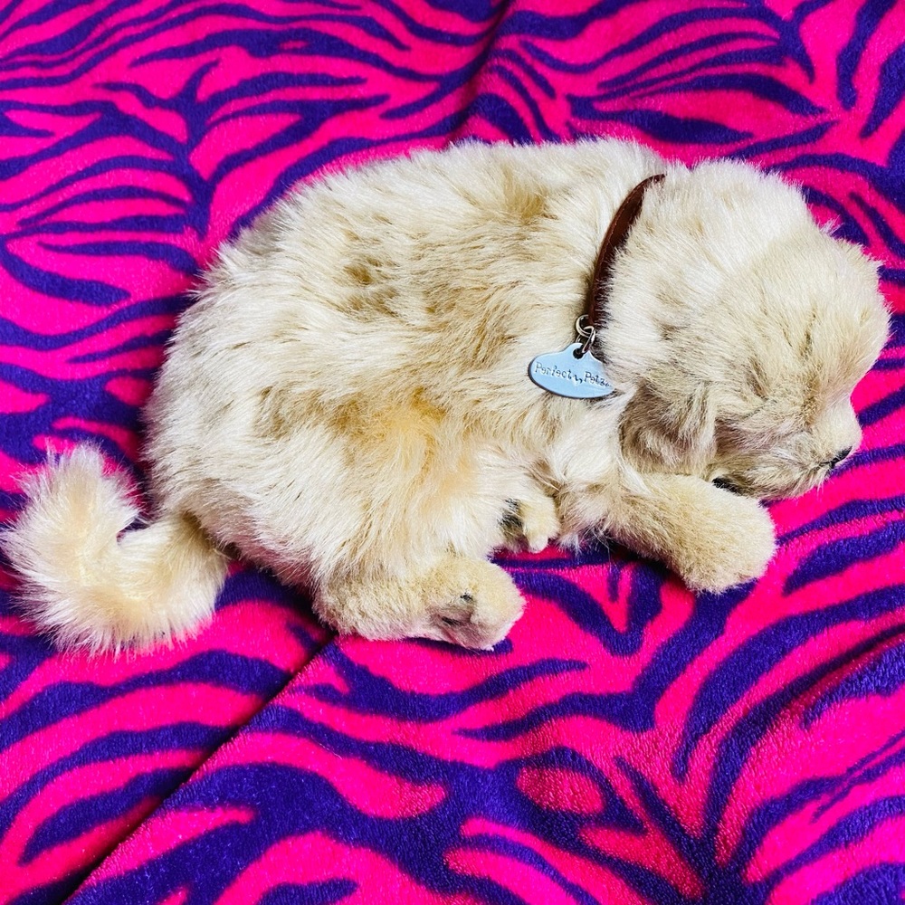 Perfect petzzz plush toy dog